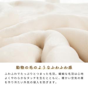 毛布 シングル 西川 暖かい 洗える オーロラ...の詳細画像4