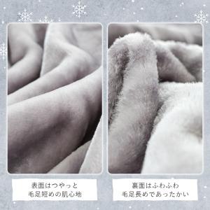 西川 毛布 シングル 1億円毛布 ニューマイヤ...の詳細画像4