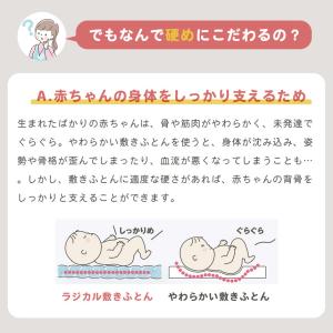 ベビー 敷布団のみ 西川 ラジカル敷き布団 7...の詳細画像3