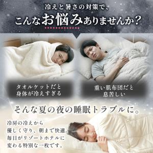 西川 掛け布団 2枚合わせ シングル オールシ...の詳細画像3