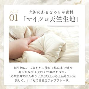 西川 掛け布団 2枚合わせ シングル オールシ...の詳細画像5