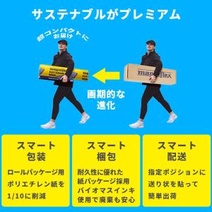 マニフレックス 三つ折り 高反発マットレス シ...の詳細画像2