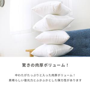 ヌード クッション ホワイト 45×45cm ...の詳細画像2