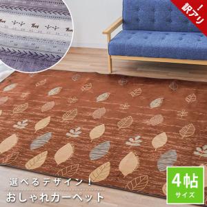 吸湿発熱 ホットテックス カーペット 大判長方形200×270cm 吸湿発熱