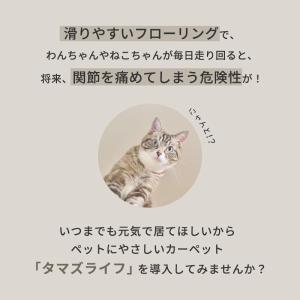 カーペット 絨毯 4.5畳 261×261cm...の詳細画像2