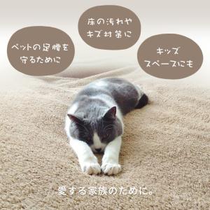 カーペット 絨毯 4.5畳 261×261cm...の詳細画像3