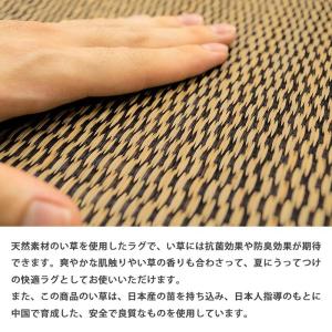 い草ラグ 6畳 261×352cm 涼感 夏用...の詳細画像1
