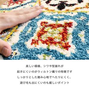 イケヒコ 玄関マット 室内 約50×80cm ...の詳細画像1