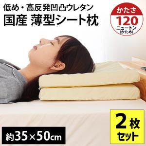 低い枕 まくら マクラ 薄型シート枕 2枚セット set 日本製 高反発 凹凸 体圧分散 まくら 35×50cm 高さ4cm
