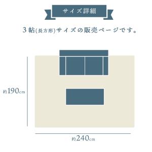 ひんやり涼感ラグ 3畳 190×240cm 夏...の詳細画像3