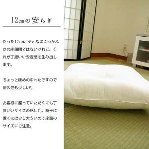 ヌード座布団 銘仙判 55×59cm 日本製 ...の詳細画像4