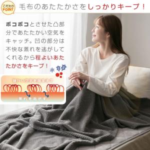 毛布 軽量 シングル 薄手 掛け毛布 ひざ掛け...の詳細画像2