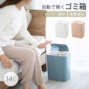 マジックウッド ハーモニースパイラル MW1002 知育玩具 おもちゃ