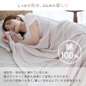 タオルケット シングル 綿100 ジャガード ...の詳細画像2