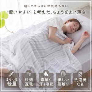 タオルケット ストライプ シングル ふんわり ...の詳細画像1