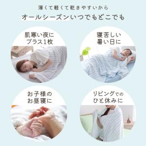 タオルケット ストライプ シングル ふんわり ...の詳細画像2