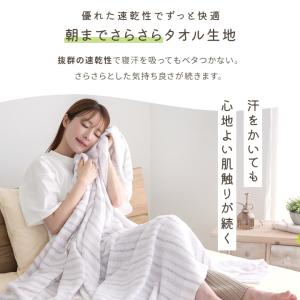 タオルケット ストライプ シングル ふんわり ...の詳細画像3