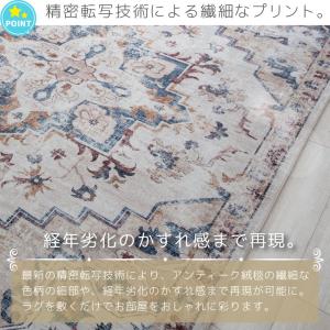 ラグ アンティーク風 デザインラグ ウィルトン...の詳細画像2