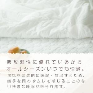 肌掛け布団 シングル 綿100% 洗いざらし ...の詳細画像5