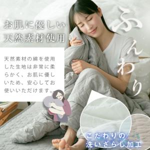 肌掛け布団 ダブル 綿100% 洗いざらし 洗...の詳細画像2