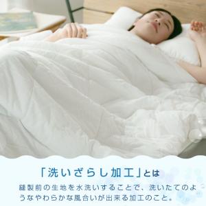 肌掛け布団 ダブル 綿100% 洗いざらし 洗...の詳細画像3