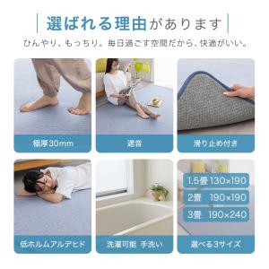 ラグ 極厚 遮音 冷感ラグ 高反発 ひんやり ...の詳細画像1