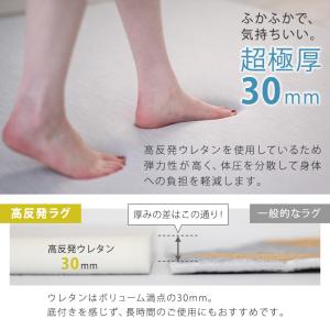 ラグ 極厚 遮音 冷感ラグ 高反発 ひんやり ...の詳細画像2
