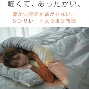 掛け布団 シングル シンサレート 冬 冬用 暖...の詳細画像1