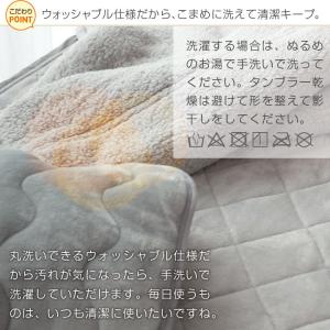 毛布 セミダブル あったか三層構造 もこもこシ...の詳細画像3