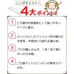 大人用お昼寝・ごろ寝布団 専用カバー付き! わ...の詳細画像2