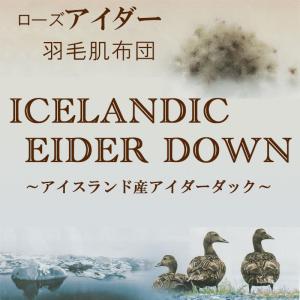 京都西川 最高級羽毛肌布団 アイスランド産アイ...の詳細画像2