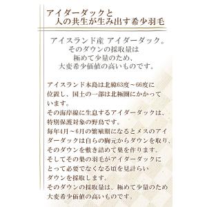 京都西川 最高級羽毛肌布団 アイスランド産アイ...の詳細画像3
