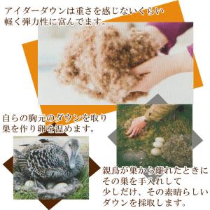 京都西川 最高級羽毛肌布団 アイスランド産アイ...の詳細画像4