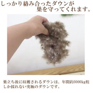 京都西川 最高級羽毛肌布団 アイスランド産アイ...の詳細画像5