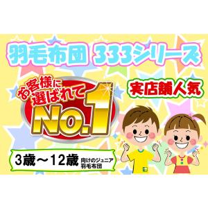 ふとんカバープレゼント ジュニア用 洗える 羽...の詳細画像1