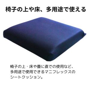 クッション シートクッション 腰痛 マニフレッ...の詳細画像4