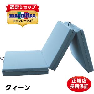 マニフレックス メッシュウイング 2個セット メッシュ・ウィング | マニフレックス西宮ショールーム
