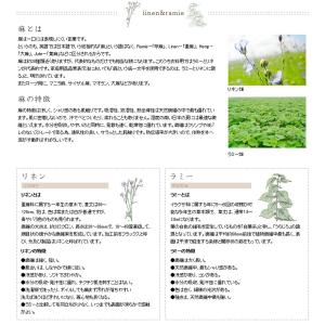リネン ダブル ガーゼケット ( シングル 約...の詳細画像2