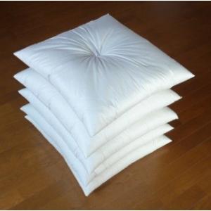 座布団　５枚組　セット　銘仙判　55ｘ59ｃｍ　ヌード　中身