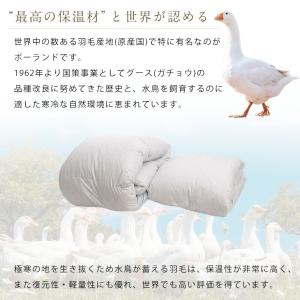 羽毛布団 二枚合わせ シングル ポーランド産 ...の詳細画像5