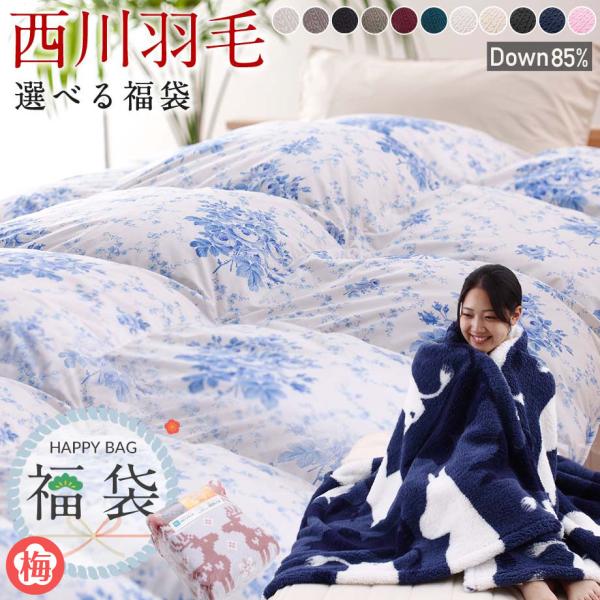 2026 福袋 羽毛布団 シングル 西川 日本製 ダウン85％ 抗菌 防臭 ムーミン 毛布 掛け布団...