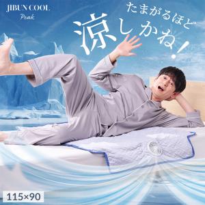 父の日 2026 西川 敷きパッド シングル 送風式 エアブリーズマット じぶんクールピーク ひんやり 熱中症 節電 抗菌 防臭 冷たい