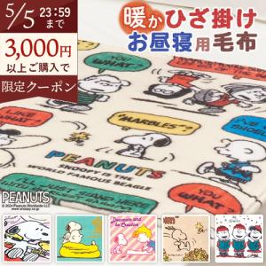 ひざかけ毛布 西川 お昼寝 ひざ掛け毛布 ひざかけ スヌーピー snoopy 軽量タイプ 100×70cm