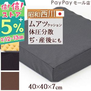 ポイント10倍 西川　ムアツクッション2フォーム01　40×40×7センチ　