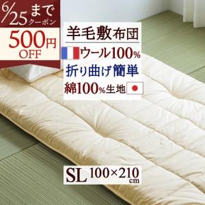 西川（nishikawa） ローズテクニー 健康敷ふとん LS2 シングルサイズ