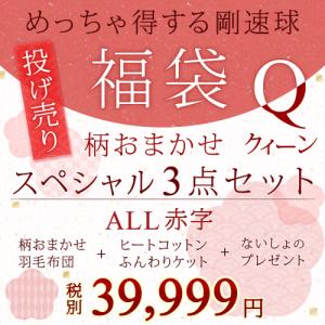 【2018福袋】柄おまかせ！東京西川　ロマンス小杉のあったか羽毛布団+綿100％大人気のヒートコットンがセット。スペシャル3点セットQ