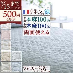 西川（nishikawa） ドクターセラ ルナ 家庭用電位治療器 敷きふとん