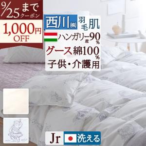 羽毛肌掛け布団 ダブルサイズ 西川 グース ダウンケット ダブル 羽毛布団 夏用 西川（nishikawa） 羽毛肌掛け布団 ダウンケット ジュニア 子ども 子供