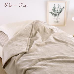 西川 毛布 シングルロング 長身用 抗菌 シン...の詳細画像2