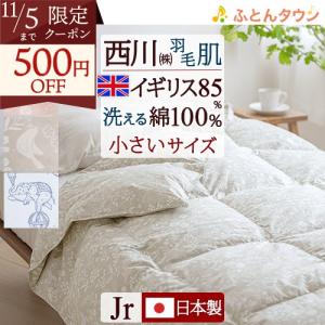 西川 羽毛肌掛け布団 ダウンケット ジュニアサイズ 夏 洗える 綿
